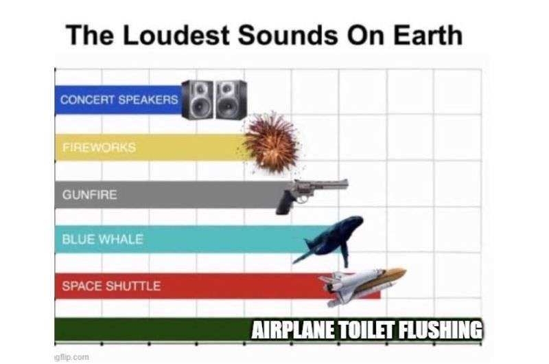 Meme about flushing the toilet on the plane