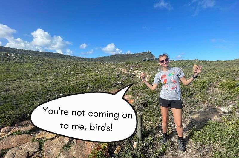 Getting ready to fight birds in Cape of Good Hope in South Africa