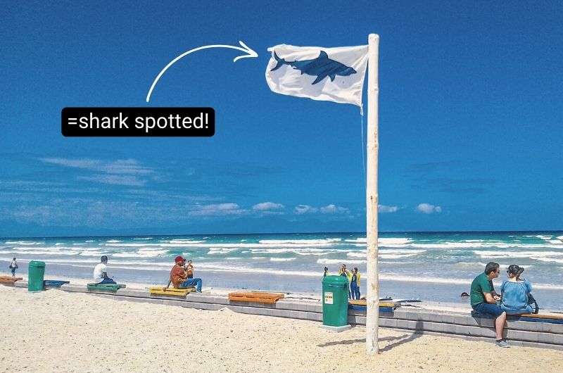 Shark Spotters flag as Muizenberg Beach in Cape Town