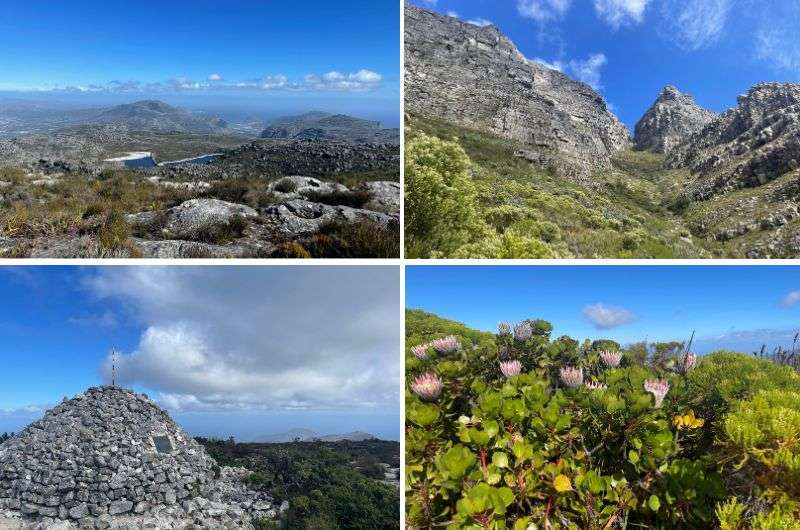 Table Mountain in Cape of Good Hope, South Africa