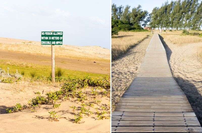 The Estuary boarwalk in St. Lucia, South Africa