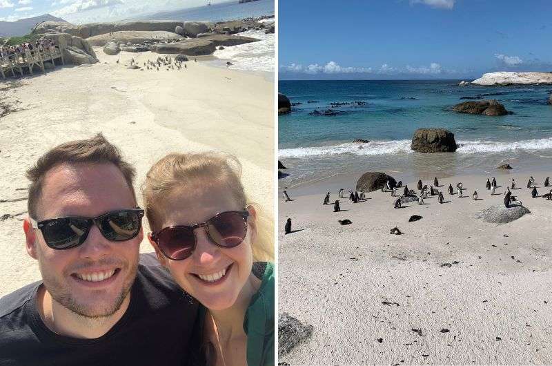 Tourist at Boulders Beach near Cape Town in South Africa