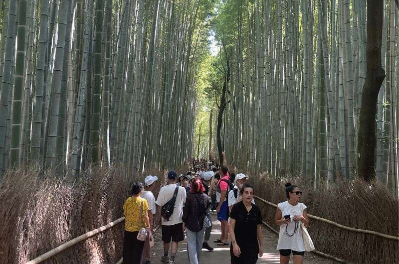People in Arashiyama Bamboo Forest in Kyoto, Japan