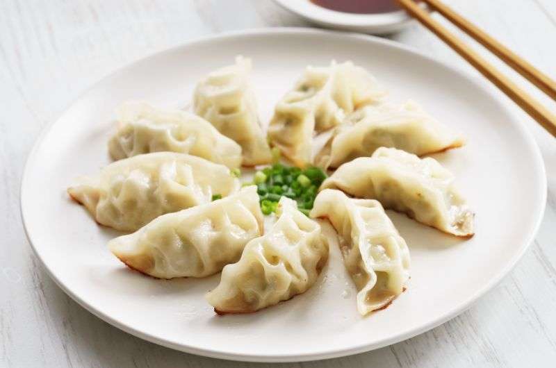 Gyoza, food of Japan