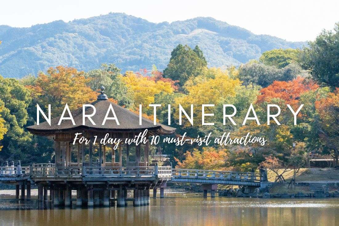 1 Day Nara Itinerary with 10 Must-Visit Attractions 
