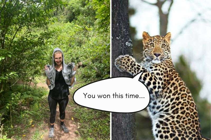 Fun meme about wearing hoodies scaring off the jaguars in Calilegua National Park, Argentina