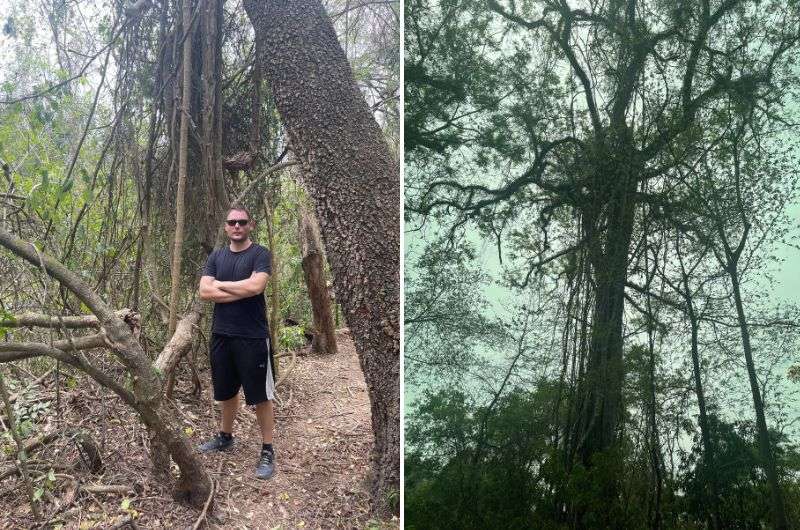 Hiking through the Calilegua National Park in Argentina