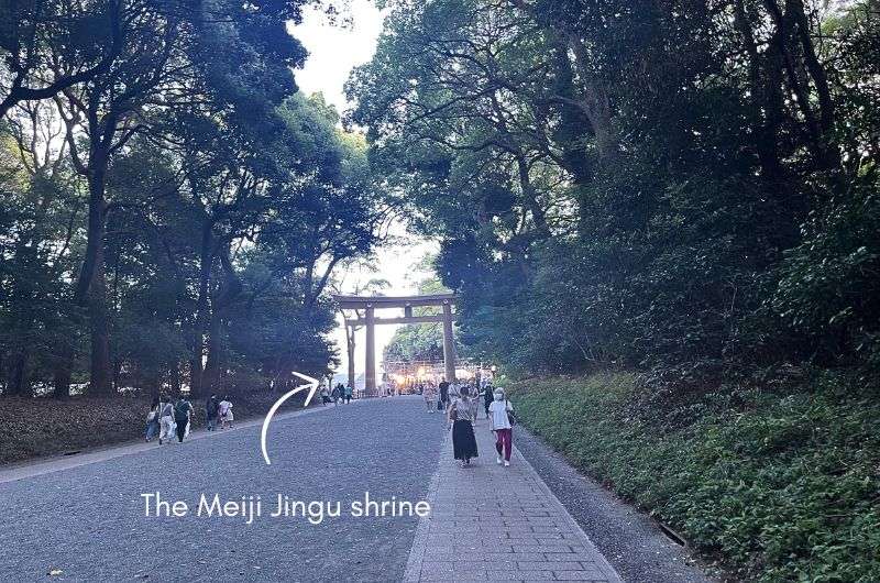 The Meiji Jingu shrine in Tokyo, itinerary for 3 days