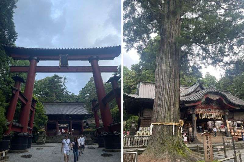 Visiting Kitaguchi Shrine in Hakone, Japan
