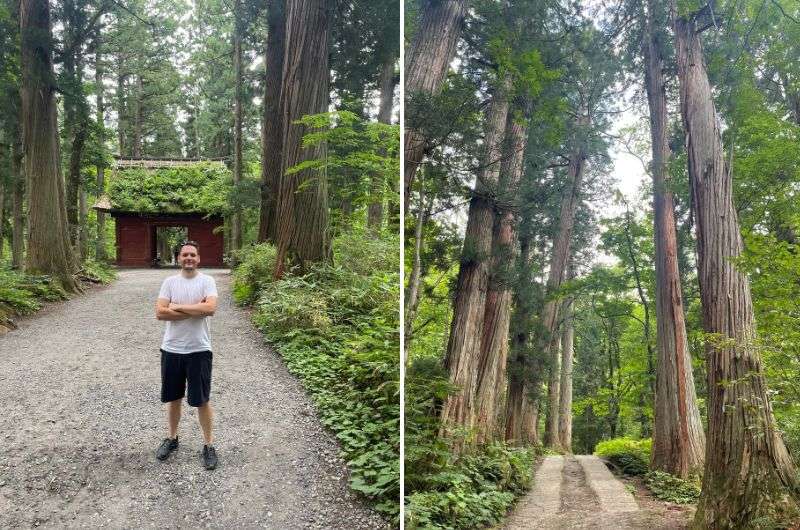 Togakushi 5 Shrines Hike in Nagano, Japan