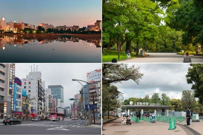 Photos from Ueno district and Ueno Park in Tokyo in Japan