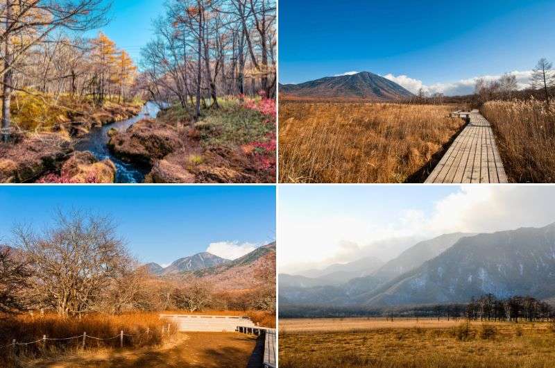 Senjōgahara grassy plains in the fall with orange foliage, Nikko Japan