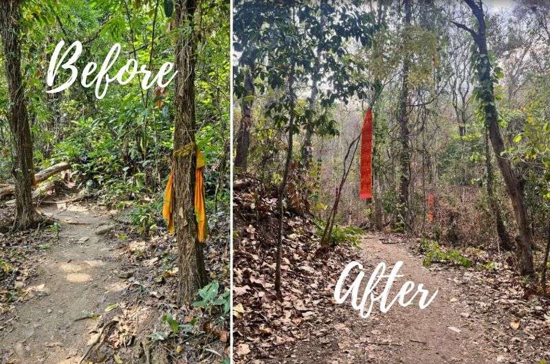 Photo showing saffron cloth on trees on the left, and the new colorful banners marking the Monk’s Trail hike in 2024