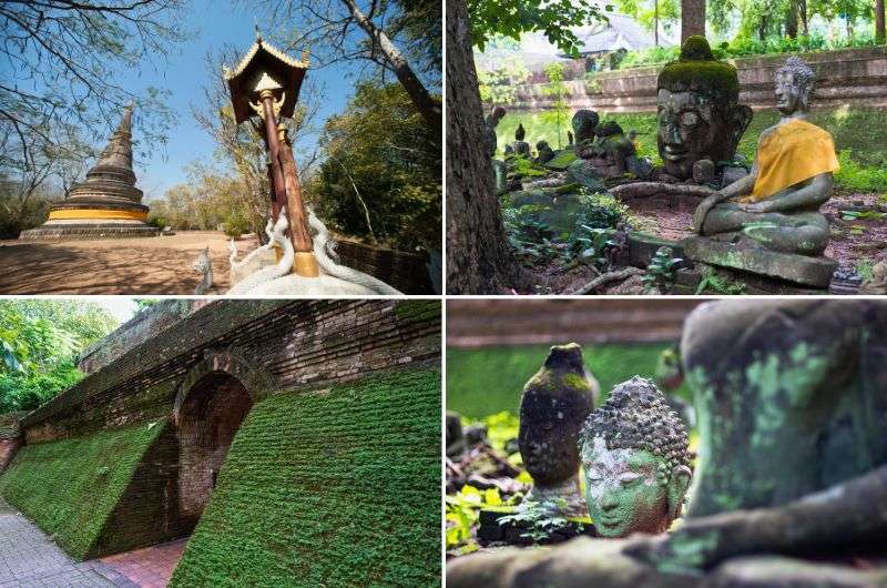 Wat Umong The Suan Buddha Dhamma in Thailand