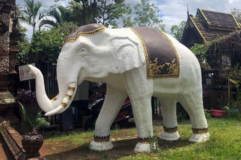 White elephant