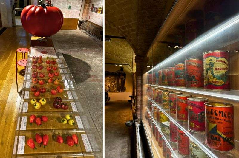 Museum of Tomato in Parma, photo by Next Level of Travel
