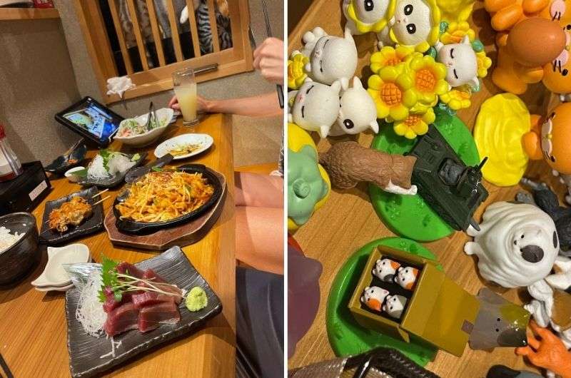 cat-themed restaurant at Monta, Japan, photo by Next level of Travel 