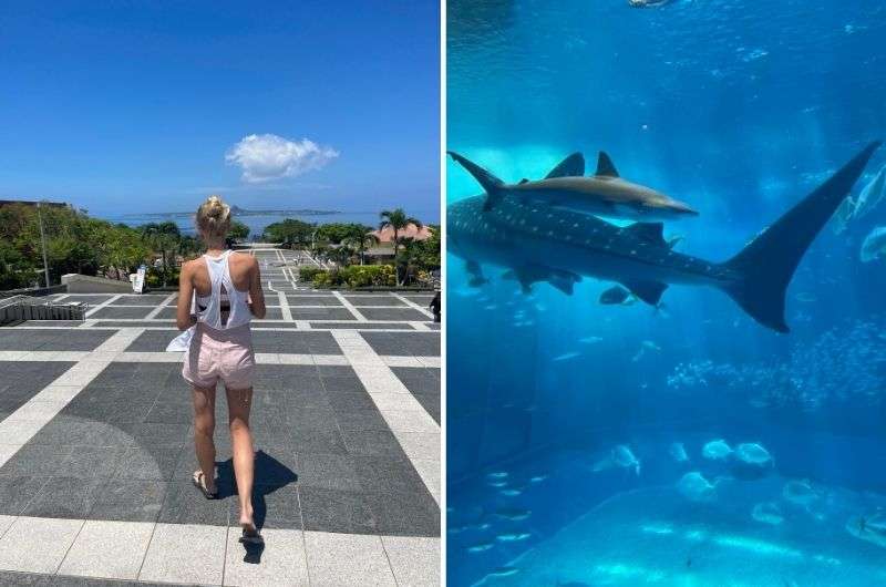Ocean Expo Park, Churaumi Aquarium, Japan, photo by Next level of Travel