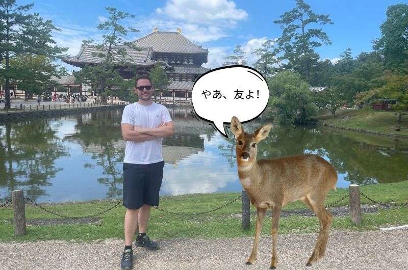 traveler and a deer in font of Nara Daibutsu Todai in Nara, Japan, photo by Next level of Travel