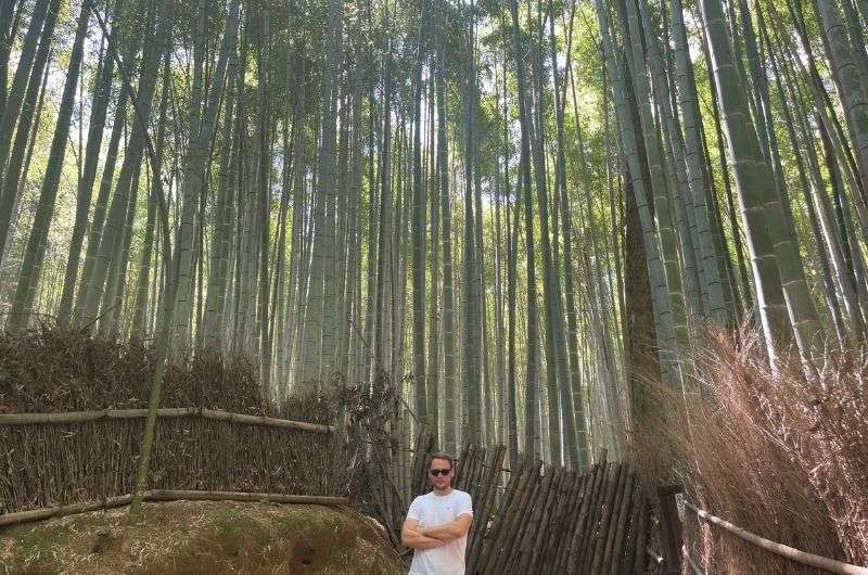 traveler in the Arashiyama Bamboo Forest, 2 week itinerary Japan, photo by Next level of Travel