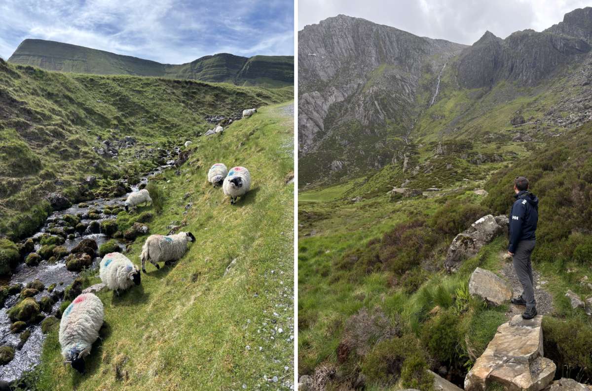Sheep grazing beside a mountain stream and a hiker overlooking a rocky valley in Wales, a photo by Next Level of Travel