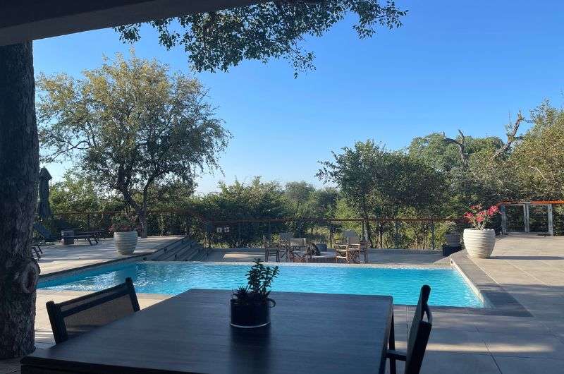swimming pool in the Little Kubu Lodge hotel, South Africa, photo by Next level of travel