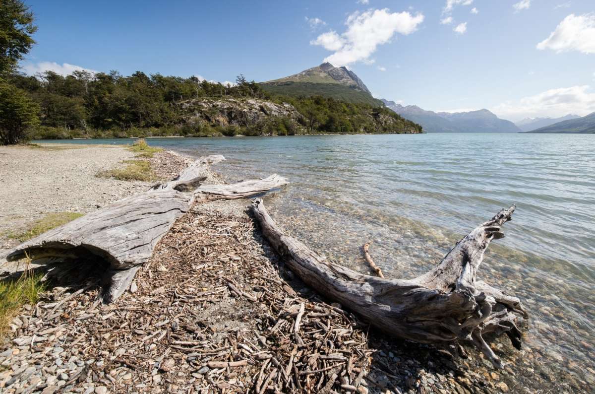 Beach with drift wood and mountain in the background at Tierra del Fuego National Park, Argentina
