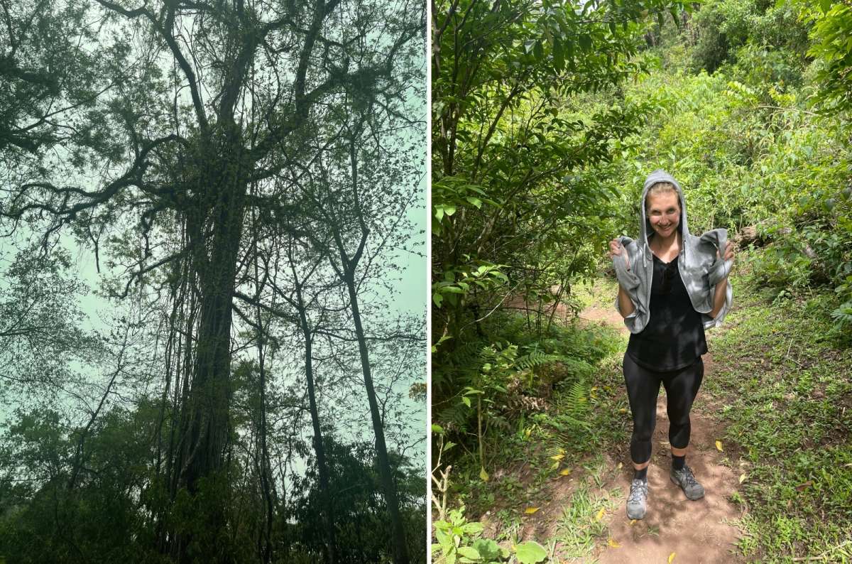Tall jungle trees and a smiling hiker on a trail in Calilegua National Park, Argentina