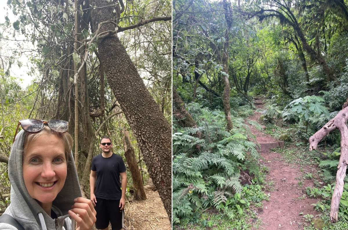 Tourists hiking through  jungle trails in Calilegua National Park, Argentina, photo by Next Level of Travel
