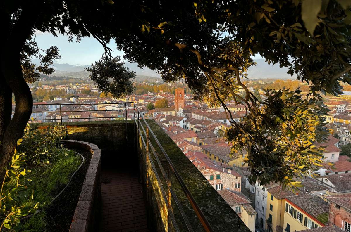 A photo of the view from the top of Torre Guinigni overlooking the streets of Lucca, Italy, phto by Nextl Level of Travel