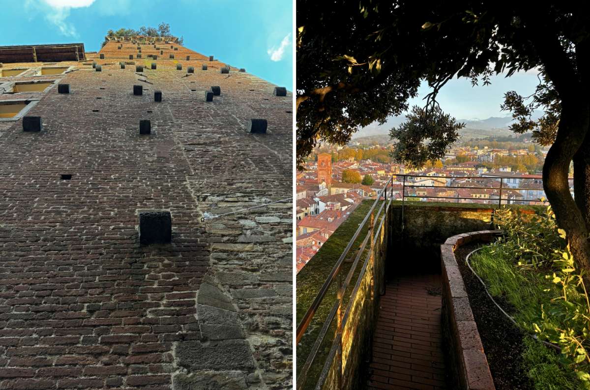 Torre Guinigi in Lucca, brick tower with stone stubs and oak trees growing on top, overlooking red rooftops, Italy, photo by Next Level of Travel