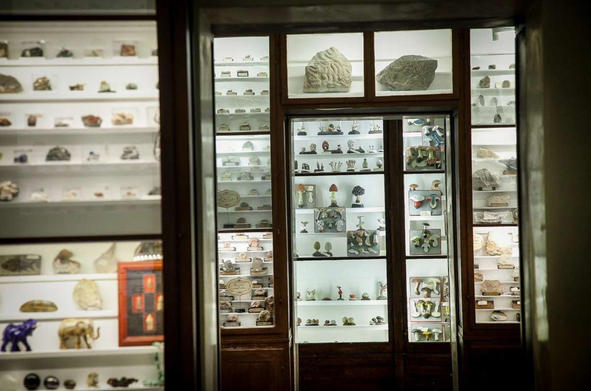 a photo of one of the exhibitions in the Musei dell’Accademia dei Fisiocritici, Siena, Italy