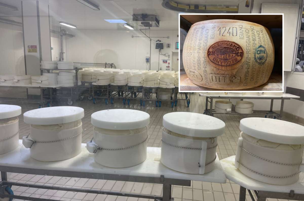 wheels of cheese in round molds and aged Parmigiano Reggiano wheel with official markings, inside a cheese factory, Modena, Italy, Emilia Romagna itinerary, photo by Next Level of Travel