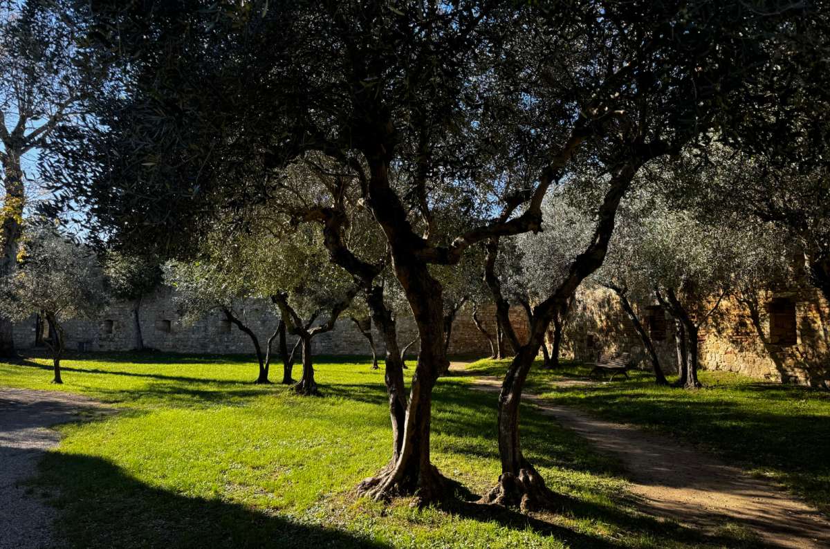 a photo from Parco della Rocca showing the beautiful nature within the city, Italy, photo by Next Level of Travel