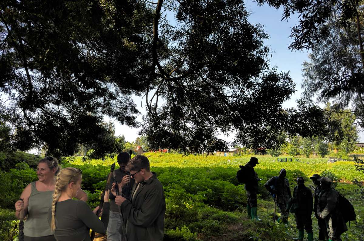 a group of tourists taking a break during gorilla trekking in the Volcanoes National Park, Rwanda, photo by Next Level of Travel