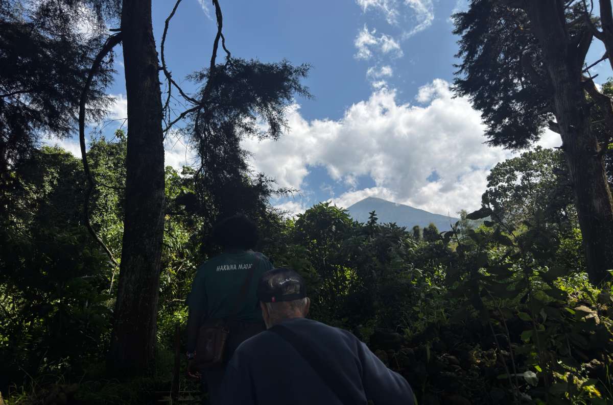 a photo of a group of tourists trekking in the Volcanoes National Park with a tall mountain visible in the background, Rwanda, photo by Next Level of Travel