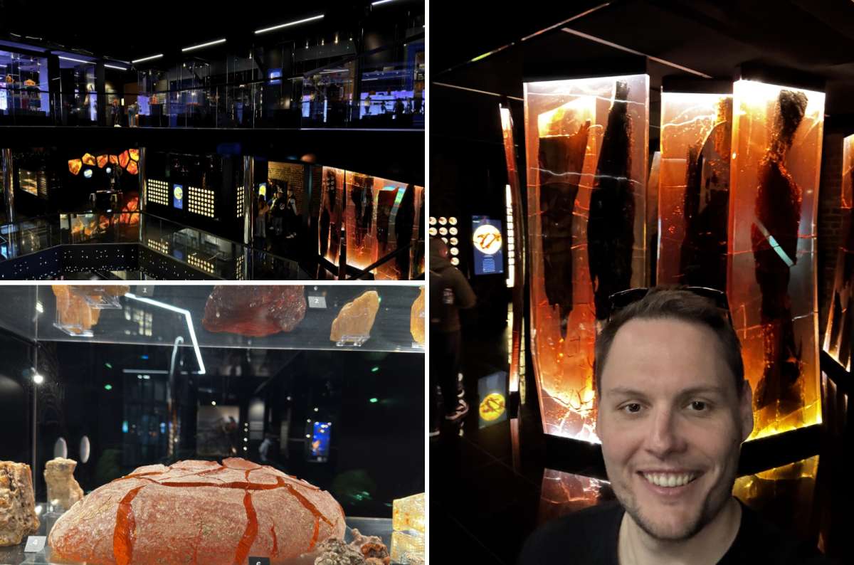 Amber exhibits and large illuminated amber slabs at the Amber Museum in Gdansk, Poland, including Baltic amber with preserved insects, photo by Next Level of Travel