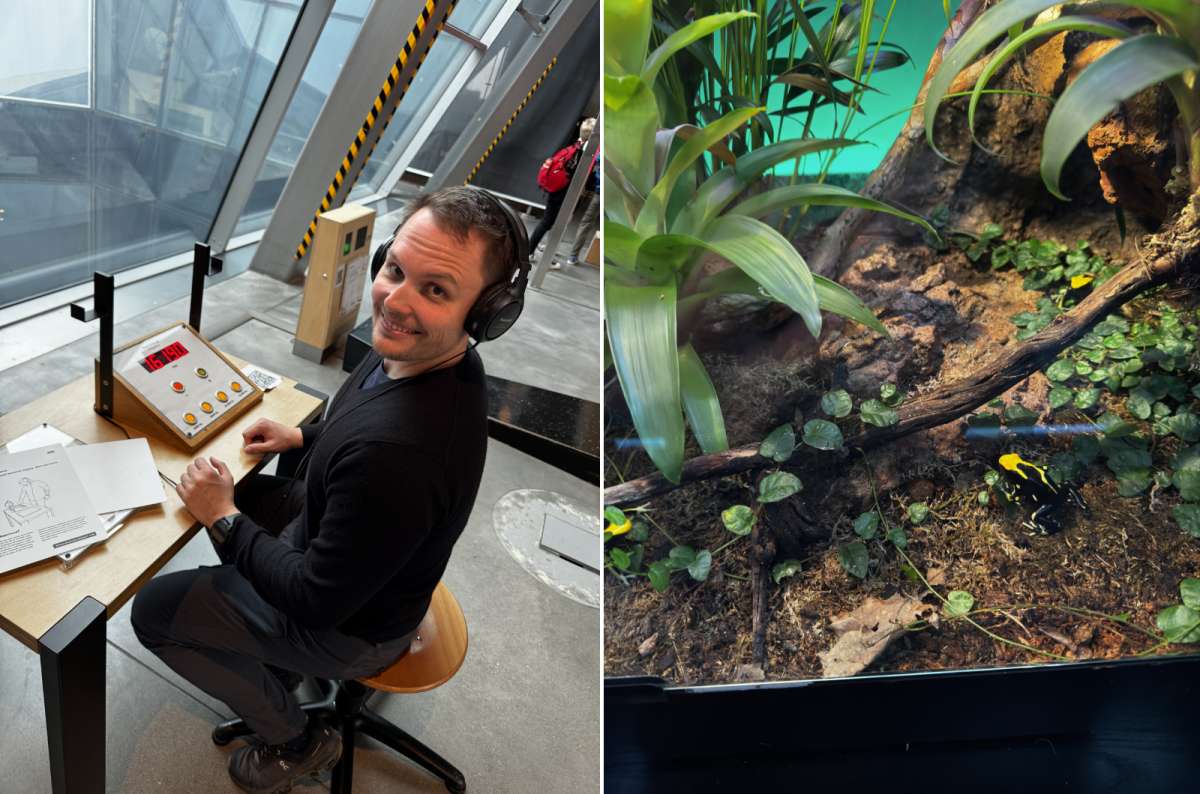 a collage of photos from the Copernicus Science Centre in Warsaw, showing tourists having fun interacting with the exhibition, Poland, photo by Next Level of Travel