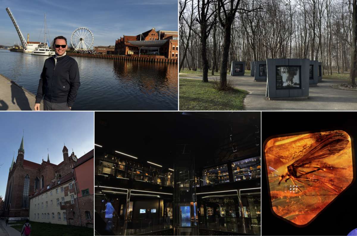 A collage of photos from Gdansk showing all the main atteactions that make Gdansk worth visiting, like the amber and World War II monuments, Poland, photo by Next Level of Travel