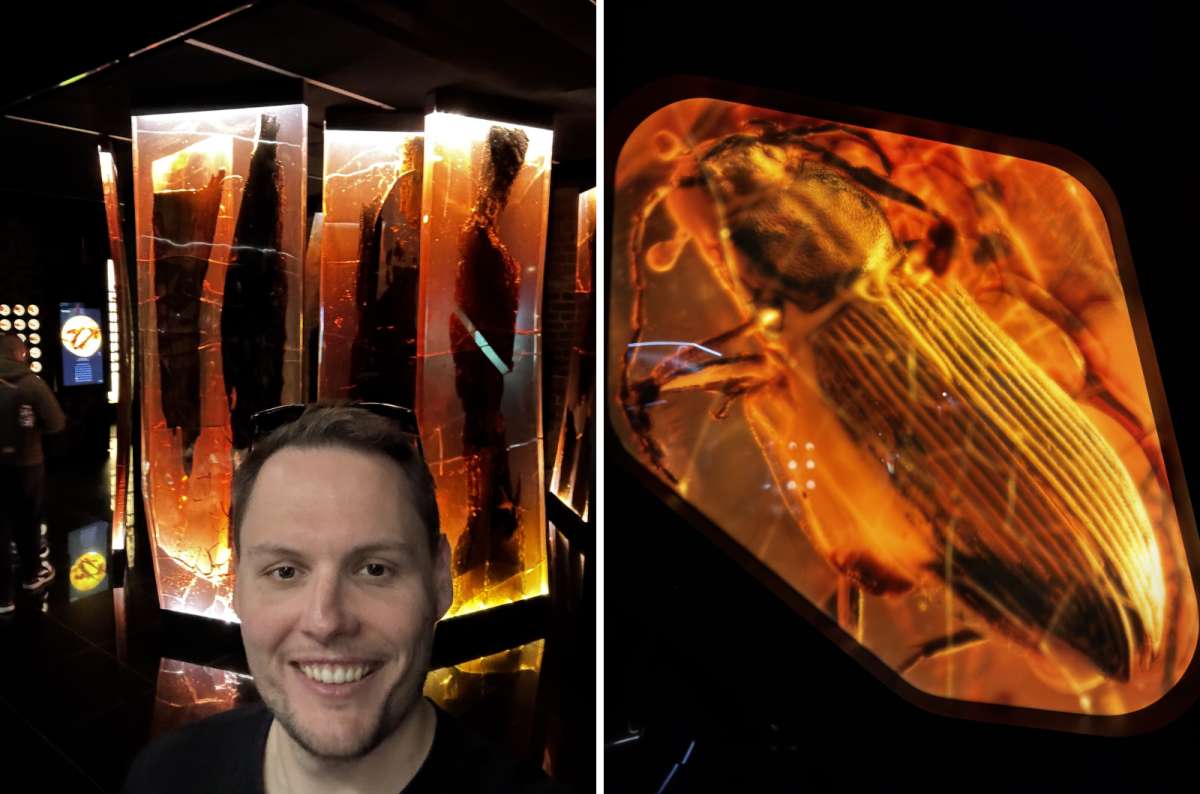 a collage of photos from the Gdansk Museum of Amber, showing the beautiful amber stones and a tourist taking a selfie inside the premises, Poland, photo by Next Level of Travel