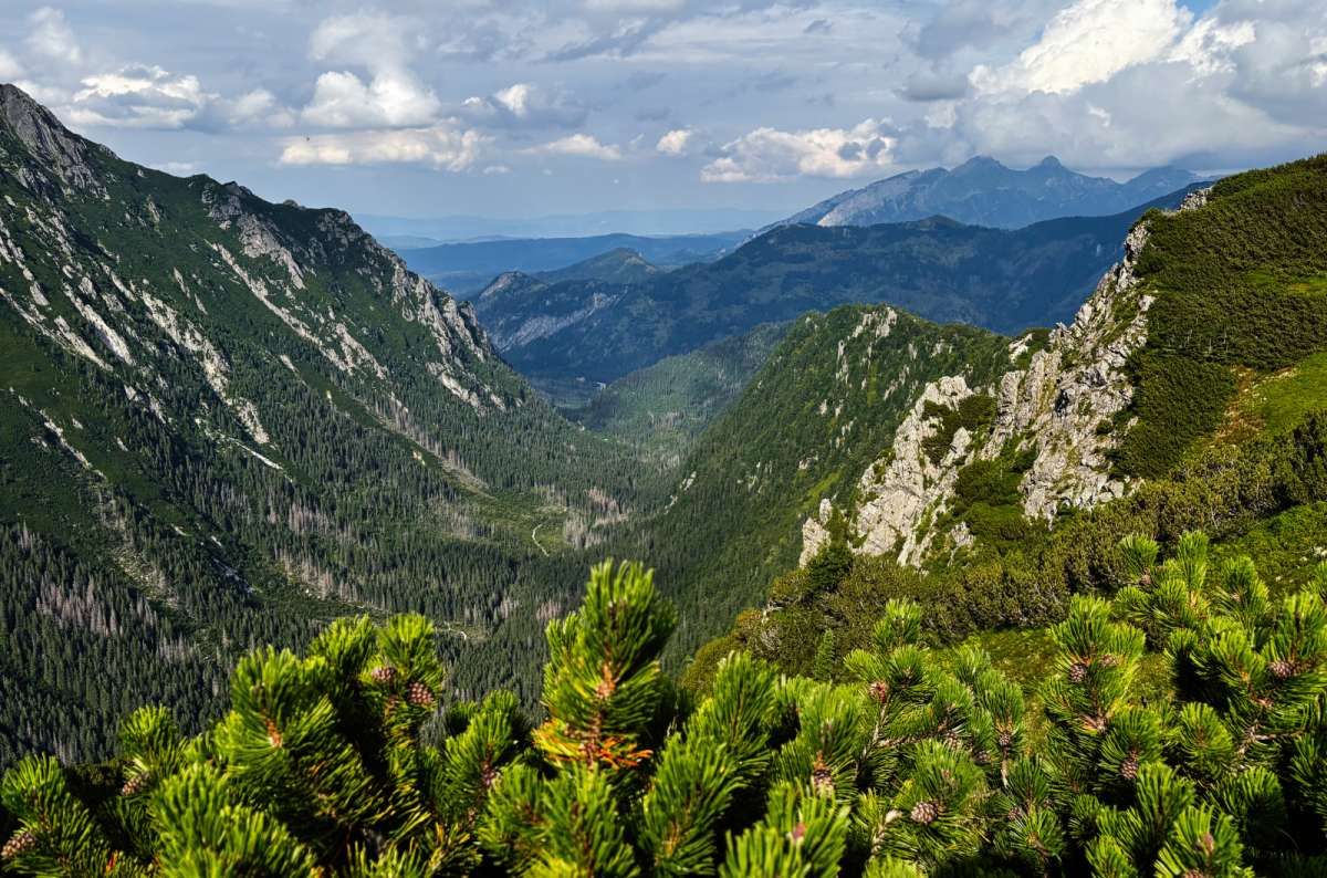 a view of the mountains and forests near Zakopane, Poland