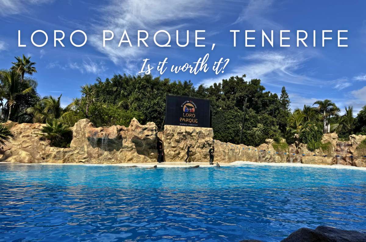 Is Loro Parque Worth It? Honest Review of Tenerife’s Top Animal Park and 1-Day Itinerary