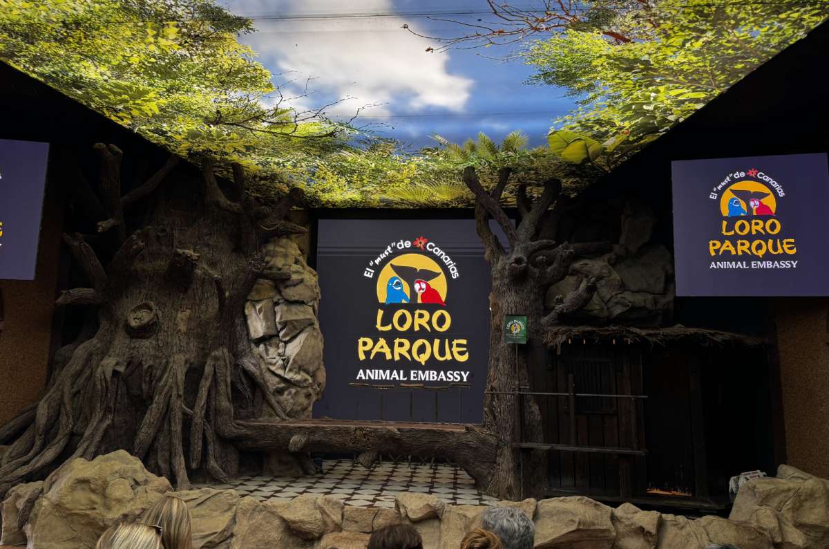 Stage setup for parrot show with Loro Parque signage at Loro Parque, Puerto de la Cruz, Tenerife, Spain, photo by Next Level of Travel