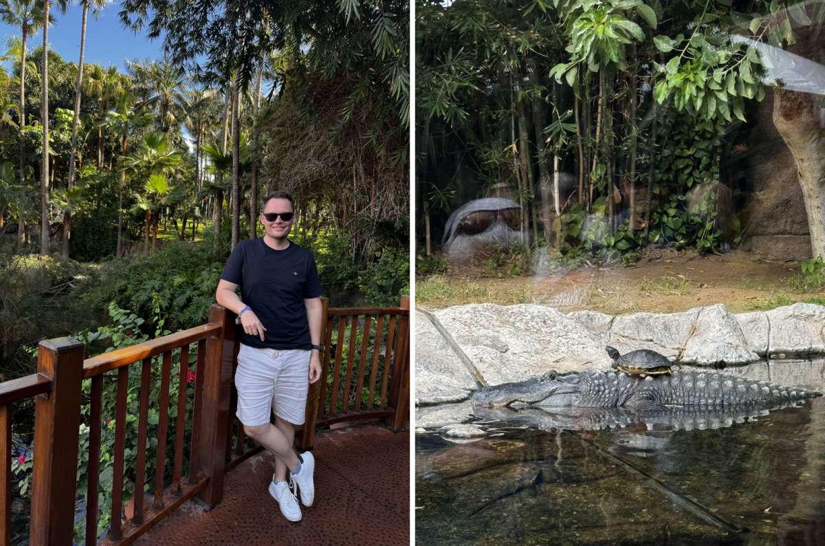 Tropical walkway and crocodile enclosure at Katandra Treetops in Loro Parque, Puerto de la Cruz, Tenerife, Spain, photo by Next Level of Travel