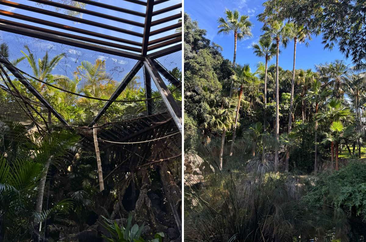 Tropical walkway and lush greenery in Katandra Treetops aviary at Loro Parque, Puerto de la Cruz, Tenerife, Spain, photo by Next Level of Travel