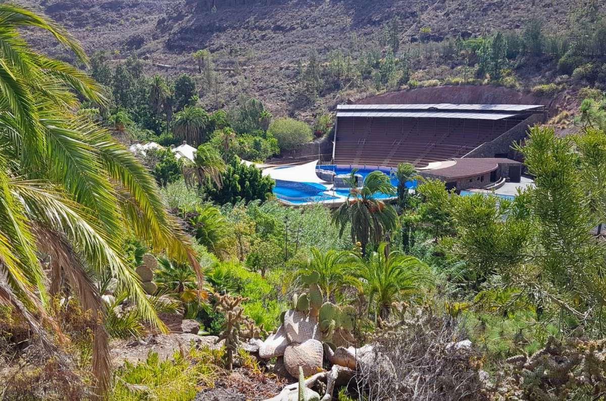 a photo from Los Palmitos Park, showing the lush greenery and the pool for animal performances, Canary Islands
