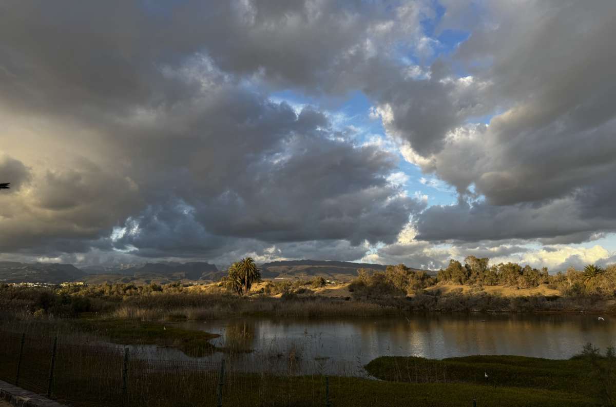a photo from Maspalomas depicting a lake with trees in the background, Canary Islands, photo by Next Level of Travel