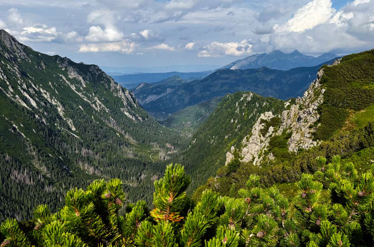 a photo of the view of the mountain and forests near Zakopane, Poland