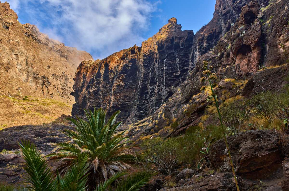 Masca Gorge cliffs and palm trees in Teno Rural Park, Tenerife, Spain 