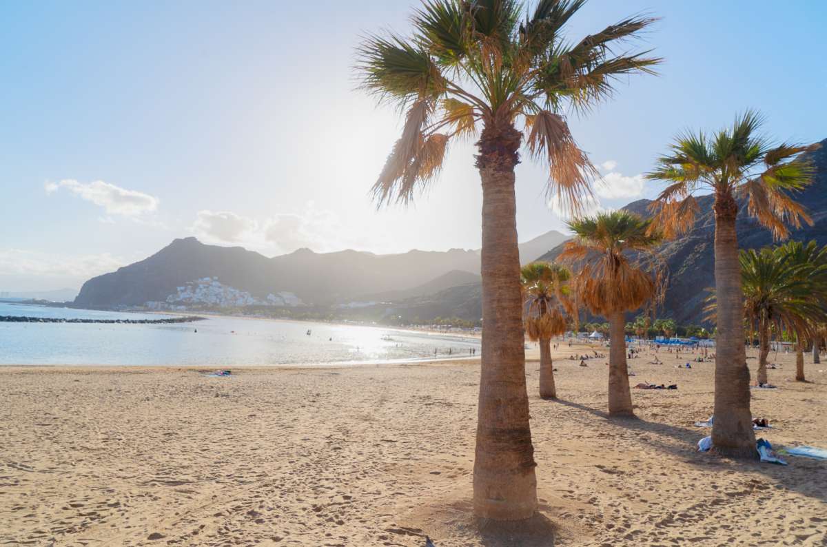  a photo from Playa de Guigui showing beautiful palm trees and mountains in the background, Gran Canaria, Canary Islands